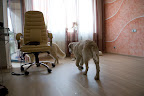 foto14/