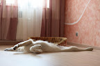 foto51/