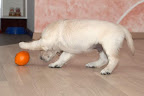 foto32/