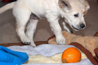foto31/