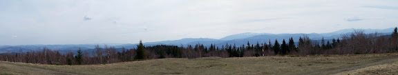 http://lh3.ggpht.com/_ZOsYp3vFMdY/S-g6ytPsXwI/AAAAAAAAFiI/OfLpJwc7sOc/s576/leskowiec.JPG