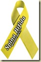 Spina bifida ribbon Spina bifida ribbon