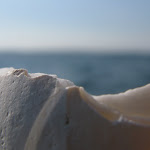 shell edge horizon (2).jpg