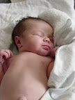 DSC00010.JPG
