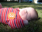 DSC02856.JPG