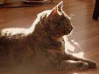 DSC03902.JPG