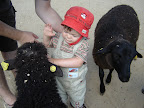 Xavier à la petite ferme du zoo