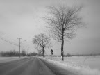 DSC01334.JPG