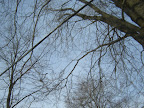 DSC01338.JPG