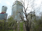 DSC02617.JPG