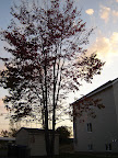 DSC05328.JPG
