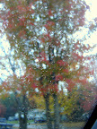 DSC05505.JPG