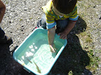DSC07942.JPG
