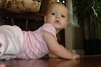 DSC08511.JPG