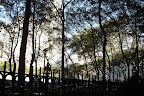 Bryant Park.