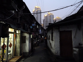 P1000229.JPG