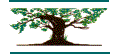 Destiny Library Catalog