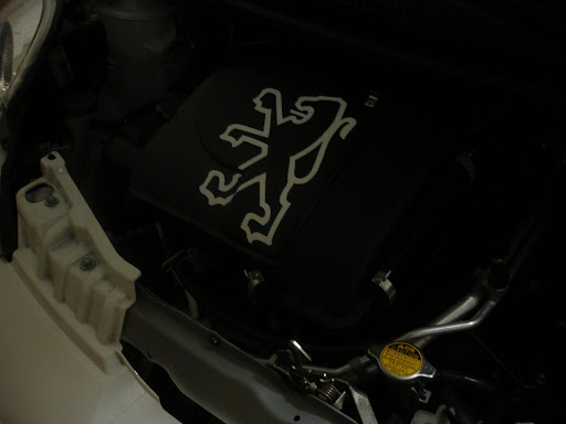 http://lh3.ggpht.com/_ZRMVUbo0NN8/S6KDoXSbFGI/AAAAAAAACp4/OiC87LBLiFw/s512/DSC05015.JPG