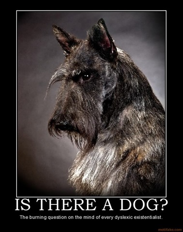 [is-there-a-dog-dyslexic-existential[4].jpg]
