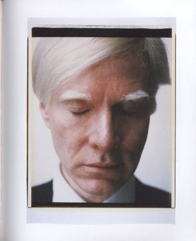 [Polaroid warhol[2].jpg]