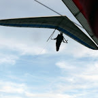 P1050351_bearb_kl.jpg
