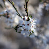 IMG_1953.jpg