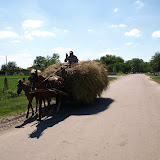 P6217339.JPG