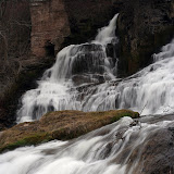 IMG_1060.jpg