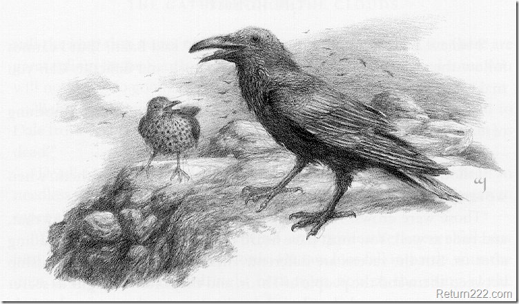 Alan Lee (63) Alan Lee (63)