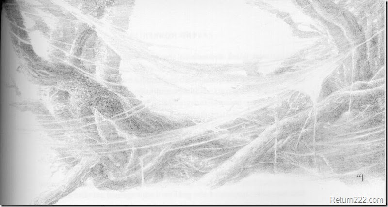 Alan Lee (37) Alan Lee (37)