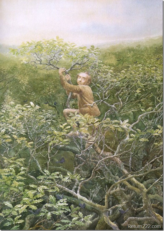 Alan Lee (39) Alan Lee (39)
