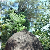 20091110~16 - kupang