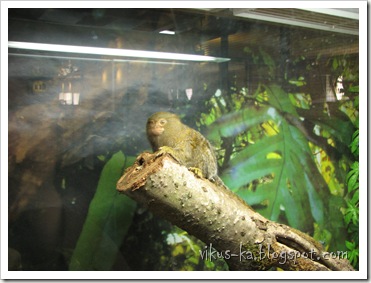 IMG_0182 IMG_0182