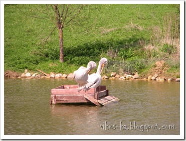 IMG_0213 IMG_0213
