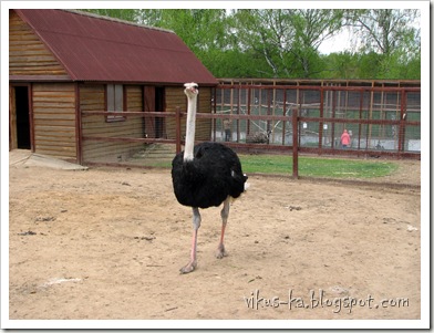 IMG_0165 IMG_0165