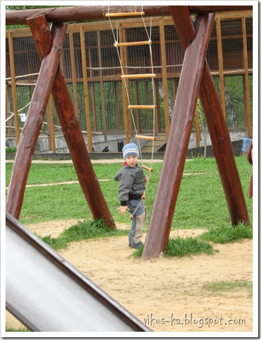IMG_0170 IMG_0170