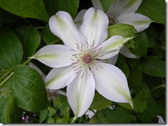 DSCN1030
