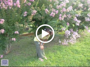  &ndash; 09-Jul-2008