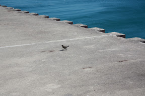 &ndash; 18-Aug-2008