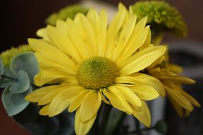  &ndash; 19-Aug-2008