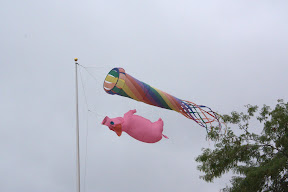  &ndash; 19-Aug-2008