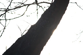  &ndash; 10-Feb-2009