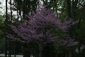  &ndash; 23-May-2009