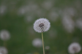  &ndash; 23-May-2009