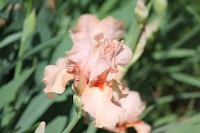  &ndash; 24-May-2009