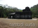 [tambdi surla[3].jpg]