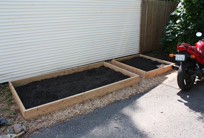 raised garden beds raised garden beds