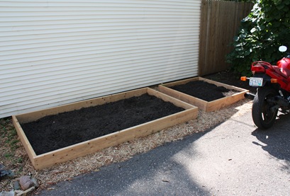 raised garden beds