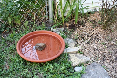 cheap bird bath cheap bird bath