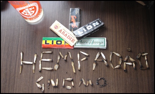 blog hempadao maconha